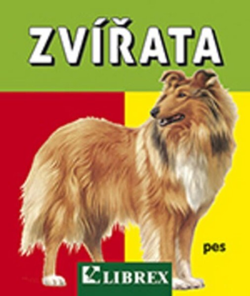 Zvířata