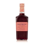 Hayman's Sloe Gin 26% 0.7 l (5021692650132)