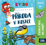 Kvído - Příroda v kostce