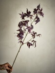 Bloomingville Umělá květina Maple Purple 92 cm, fialová barva, plast