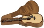 Taylor GS Mini Sapele