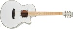 Tanglewood TW4 CE BLW