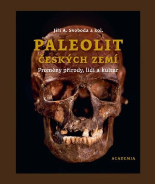 Paleolit českých zemí - Jiří A. Svoboda, kolektiv autorů