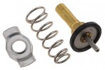PIETRO Termostat Smart Fortwo (451) kupé, Cabrio 1.0 / Turbo (2007–2014)