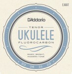 D'Addario EJ99T