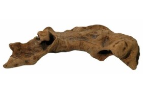 Lucky Reptile Opuwa Wood 15-30 cm (FP-64021)