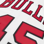 Mitchell & Ness Pánský dres Chicago Bulls NBA Michael Jordan #45 1994-95 Authentic Velikost: M
