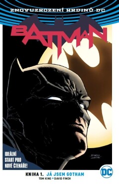 Batman 01: Já jsem Gotham V8 - Finch, David; King, Tom