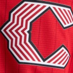 Nike Pánský dres Cincinnati Reds MLB 2026 City Connect Stadium Velikost: M