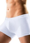 Pánské boxery Brubeck shortbox BX 10050 (10130) white