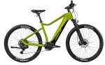 Leader Fox Awalon 19,5" 29" army 2025