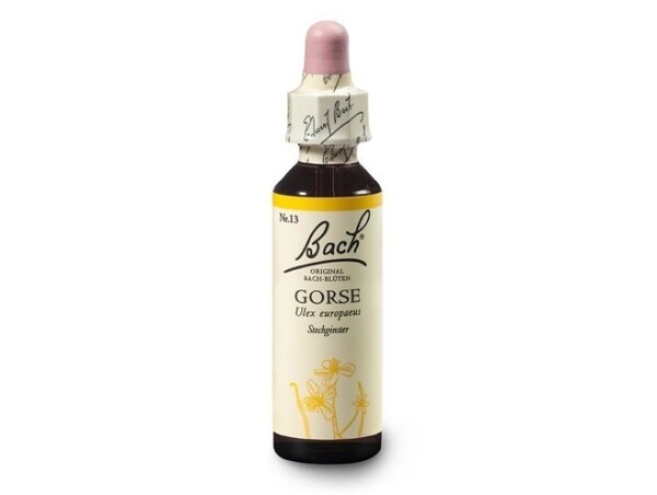 Hlodaš evropský (Gorse) 20 ml - Bachovy esence Dr.Bach