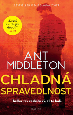 Chladná spravedlnost - Ant Middleton