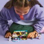 LEGO LEGO® Friends 42647 Pokoj Paisley
