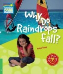 Cambridge Factbooks 3: Why do raindrops fall? - Peter Rees