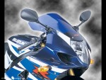 Suzuki Gsxr 1000 03-04 Plexi Standard