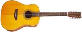 Tanglewood TW40-12 SD AN E