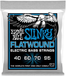 Ernie Ball 2815