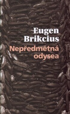 Nepředmětná Odyssea Eugen Brikcius