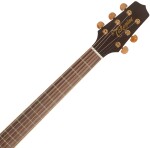Takamine P4DC