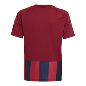 Tričko adidas Striped 24 Jr IW2139 164