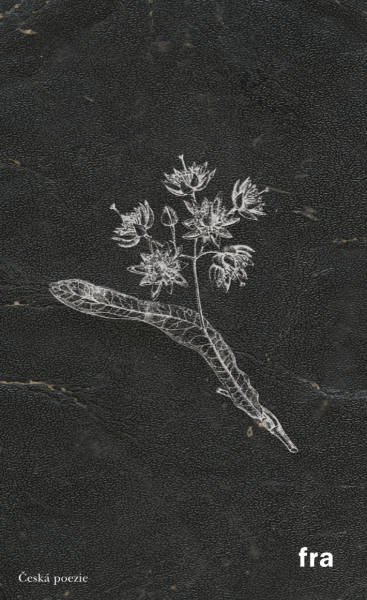 Herbář k čemusi horšímu - Petr Borkovec