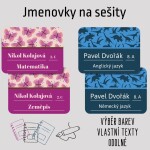 15x Samolepky do školy se jménem 47x35 mm, jmenovky na sešity, knihy a školní potřeby