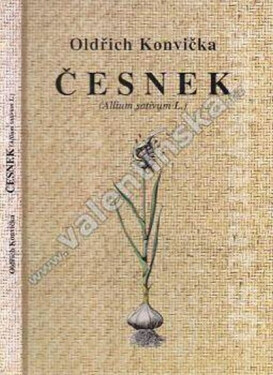 Česnek (Allium sativum Konvička Oldřich