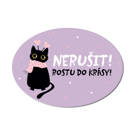 Cedulka na dveře - Rostu do krásy - Albi