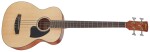 Ibanez PCBE12 Natural