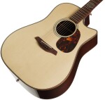 Furch Rainbow Dc-LG