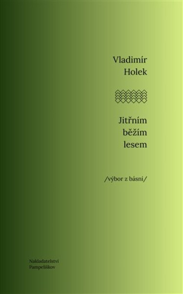 Jitřním běžím lesem