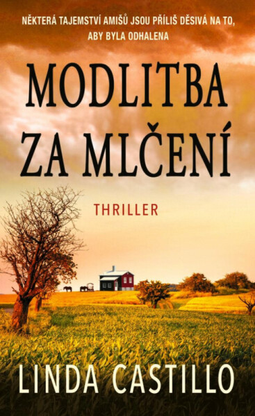Modlitba za mlčení (poškozené) - Linda Castillo