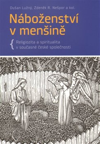 Náboženství v menšině. Religiozita a spiritualita v současné české společnosti - Dušan Lužný, R. Zdeněk Nešpor