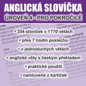 Anglická slovíčka - úroveň 4 pro pokročilé - Richard Ludvík - audiokniha