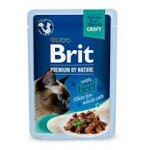 Brit Premium Cat D Fillets in Gravy with Beef 85g