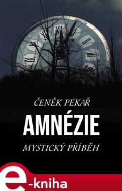 Amnézie - Čeněk Pekař e-kniha