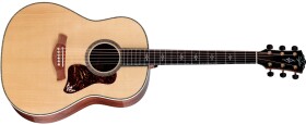 Taylor Gold Label 917e Honduran Rosewood Natural