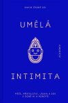 Umělá intimita - David Černý