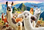 Castorland 104758 Selfie lam na Macchu Picchu