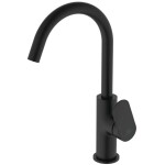 IDEAL STANDARD - Ceralife O Umyvadlová baterie s otočným výtokem a výpustí Click-Clack, hedvábná černá BE016XG