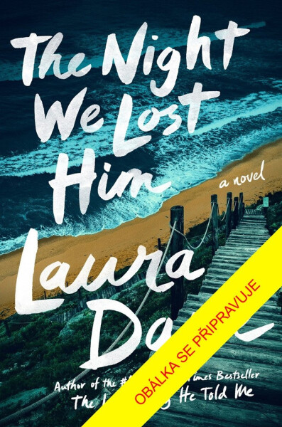 Večer, kdy nás opustil - Laura Dave