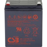 CSB Battery EVX12170 olověný akumulátor 12 V 17 Ah olověný se skelným rounem (š x v x h) 181 x 167 x 76 mm šroubované M5