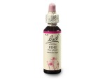 Borovice lesní (Pine) 20 ml - Bachovy esence Dr.Bach