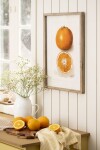 IB LAURSEN Obraz v rámu Citrus Fruits 45 x 60 cm Pomeranč, žlutá barva, oranžová barva, přírodní barva, sklo, dřevo, papír