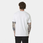 Helly Hansen Core Graphic T 2.0 M 54599 002 tričko m