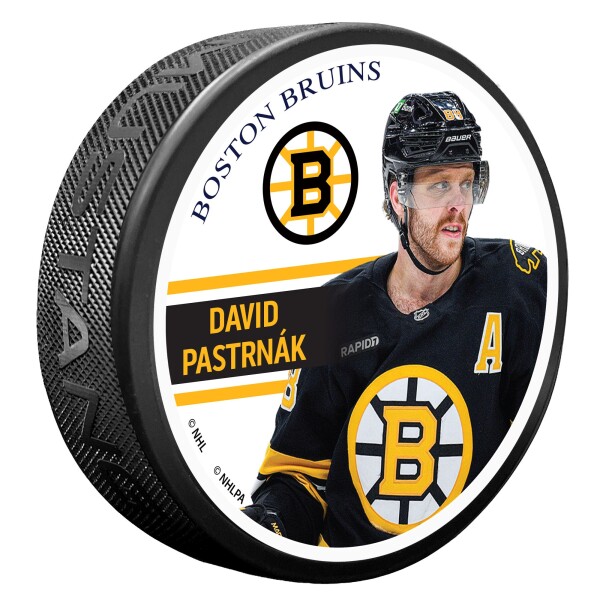 Mustang Puk Boston Bruins NHL David Pastrnak - Portrait Series