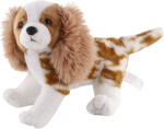 Kavalír King Charles španěl 26 cm - Sparkys