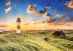Trefl - Puzzle - Premium Plus Photo Odyssey: Maják Ost na ostrově Sylt