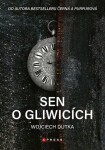 Sen Gliwicích